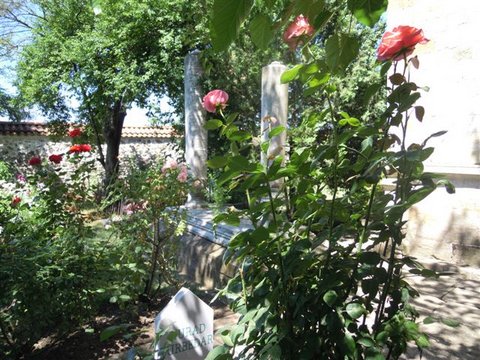 DSCN4771.JPG