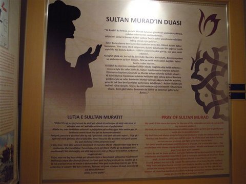 DSCN4782.JPG