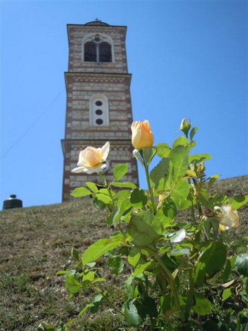 DSCN4812.JPG
