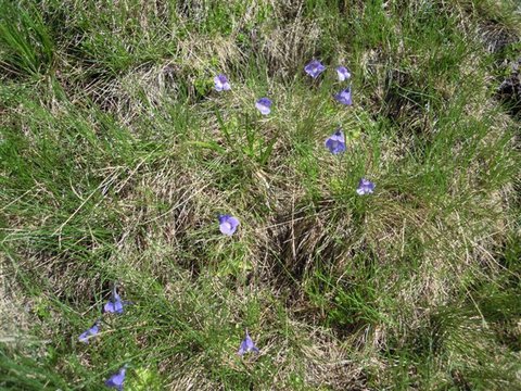 DSCN4845.JPG