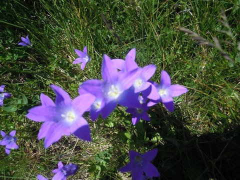 DSCN4858.JPG
