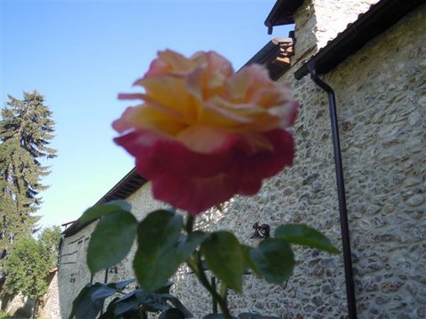 DSCN4889.JPG