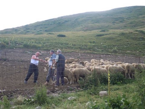DSCN4896.JPG