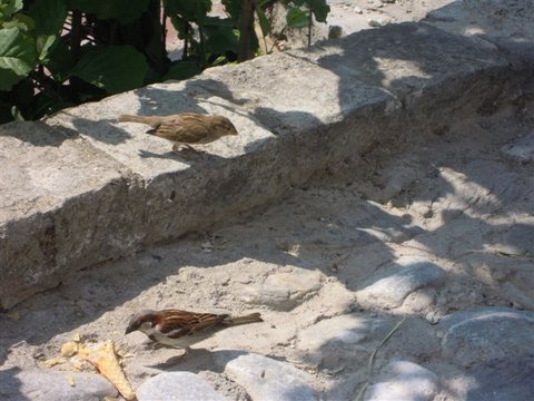 DSCN4933.JPG