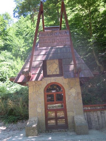 DSCN4948.JPG