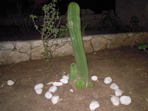 DSCN5094.JPG