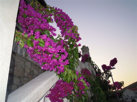 DSCN5184.JPG
