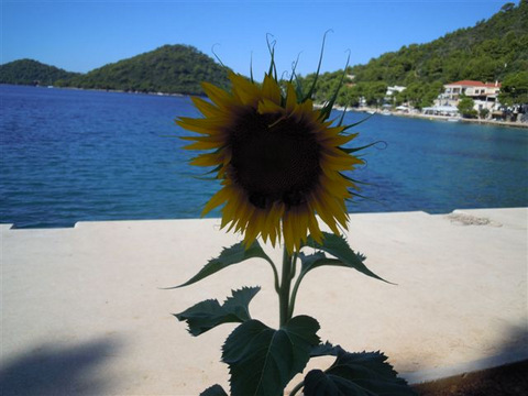 DSCN5275.JPG