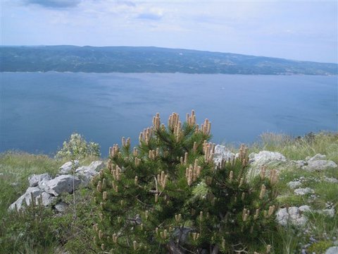 DSCN3876.JPG