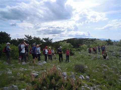 DSCN3877.JPG