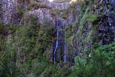 DSC00515.JPG