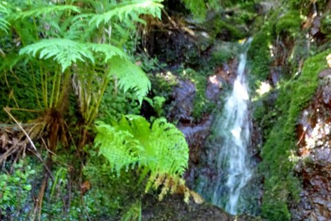 DSC00534.JPG