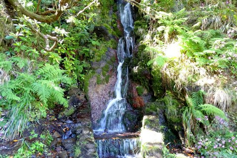 DSC00544.JPG