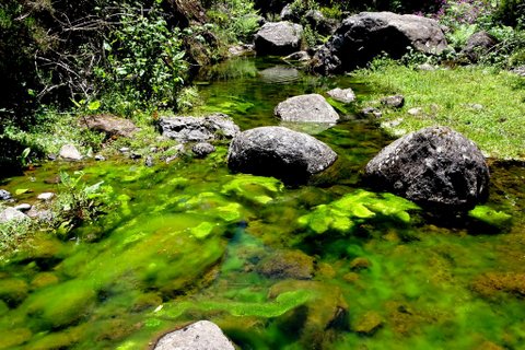 DSC00583.JPG