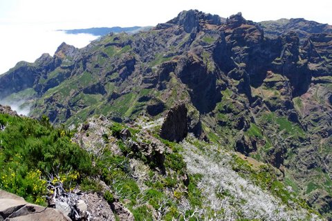 DSC00808.JPG