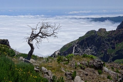 DSC00822.JPG