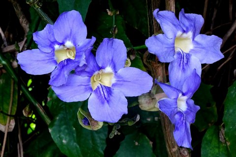 DSC01042.JPG