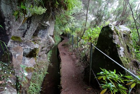 DSC01142.JPG