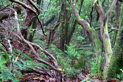 DSC01145.JPG