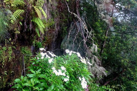 DSC01168.JPG