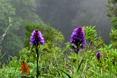 DSC01191.JPG