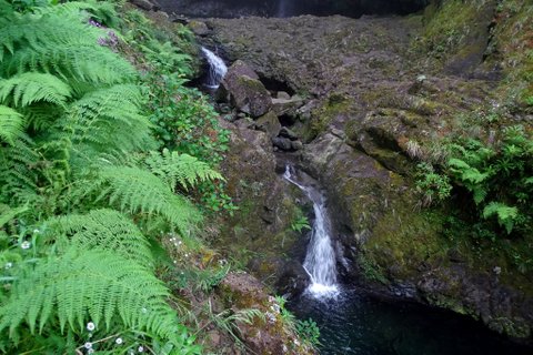 DSC01205.JPG