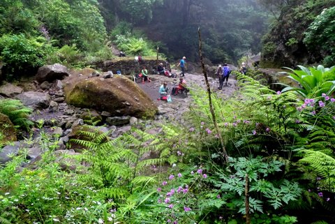 DSC01218.JPG