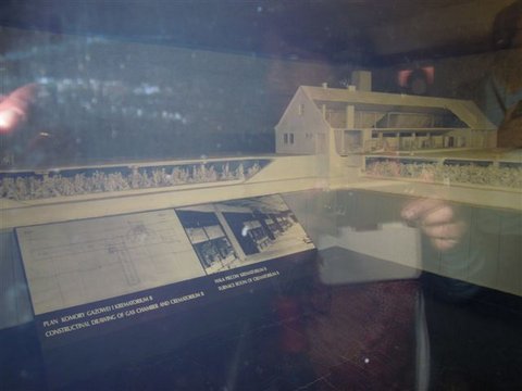 DSCN8400.JPG