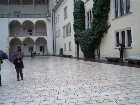 DSCN8415.JPG