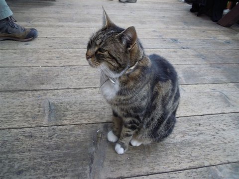 DSCN8533.JPG