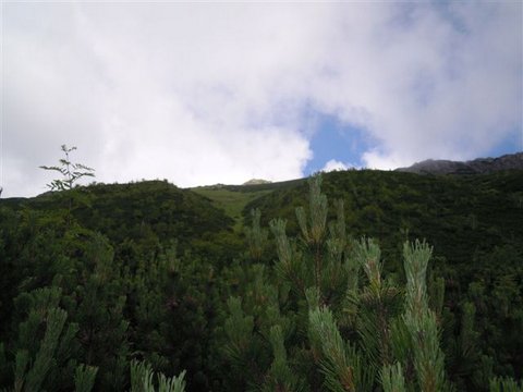 DSCN8536.JPG