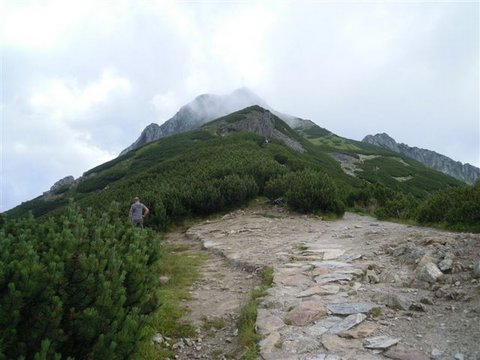 DSCN8539.JPG