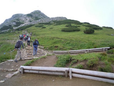 DSCN8544.JPG