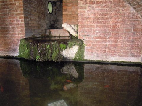 DSCN7873.JPG