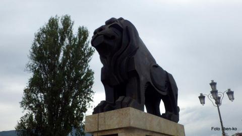 1-IMGP0480.jpg