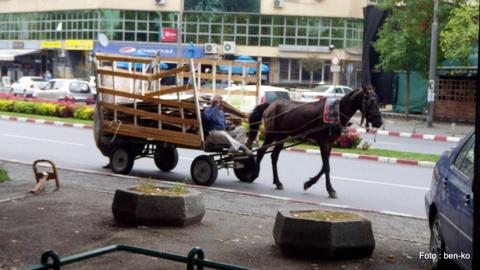 1-IMGP0512.jpg