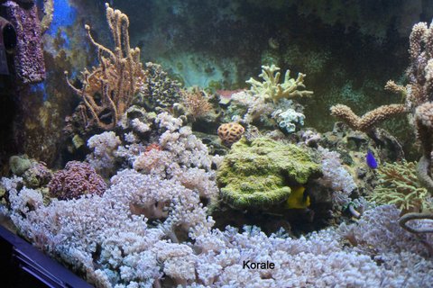 DSC_3817.JPG