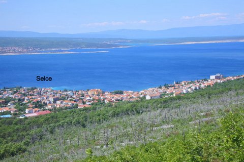 DSC_3917.JPG