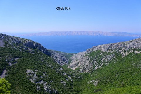 DSC_3952.JPG