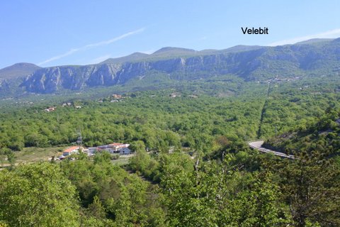 DSC_3974.JPG