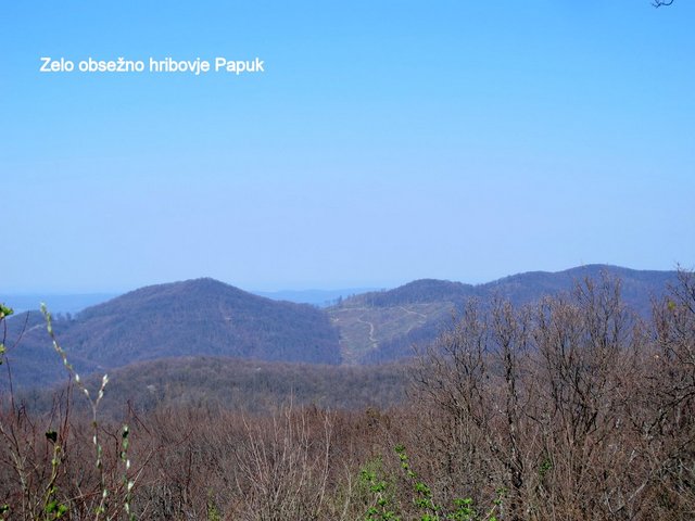 IMG_0212.JPG