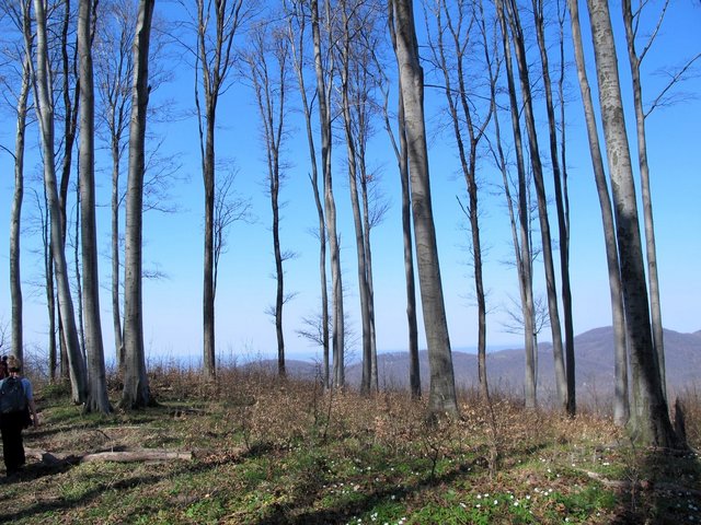 IMG_0215.JPG