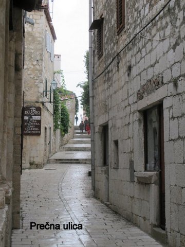IMG_3037.JPG