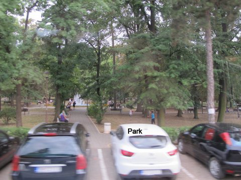 IMG_2239.JPG