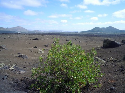 DSCN2221.JPG