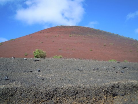 DSCN2222.JPG