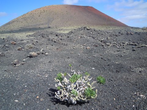 DSCN2226.JPG