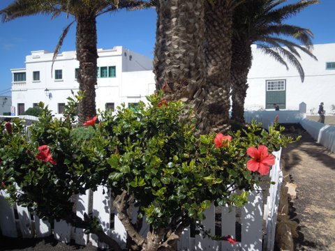DSCN2236.JPG