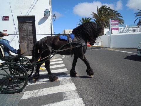 DSCN2243.JPG