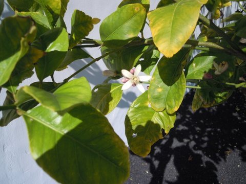 DSCN2251.JPG